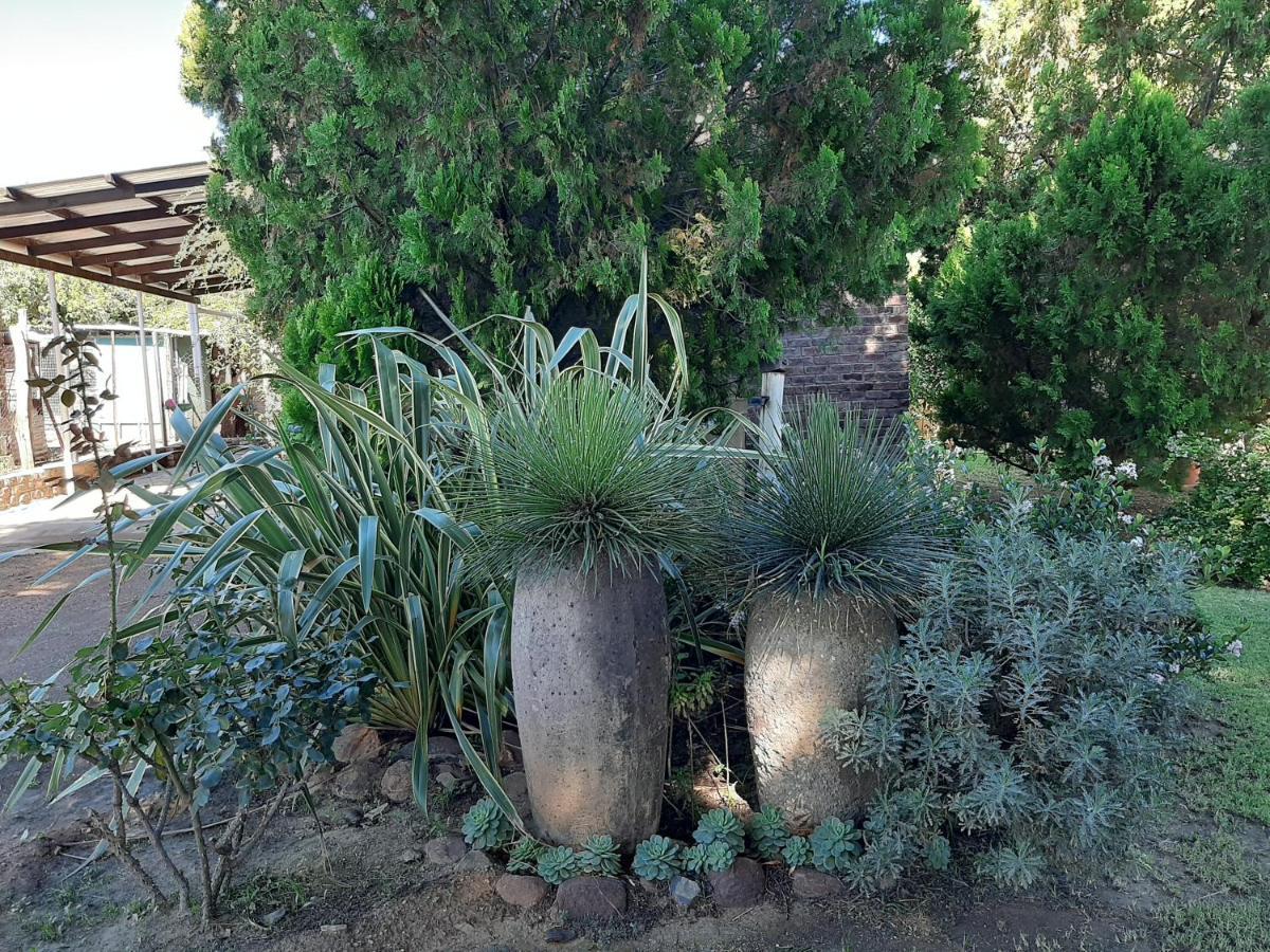 The Nook Apartamento Cradock Exterior foto